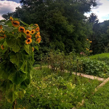 Apartment Apartmaji Grilc